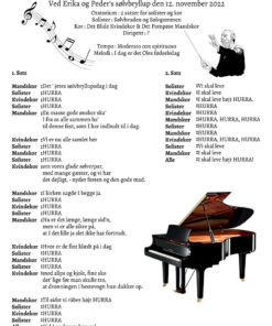 Sølvbryllups koncert