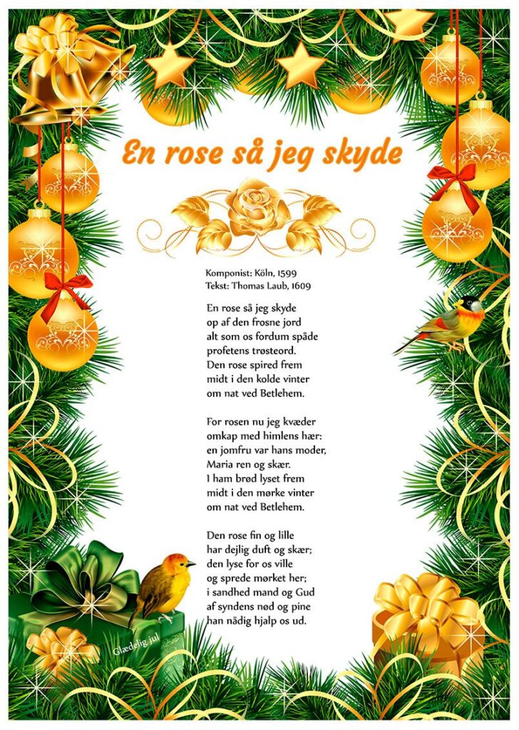 Klassisk julesang til jul – En rose så jeg skyde med varmere julestemning