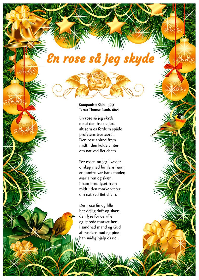 En rose så jeg skyde – julesang
