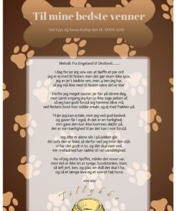 Hundesang bryllup bedste ven – personlig sang hvor hunden hyldest brylluppet